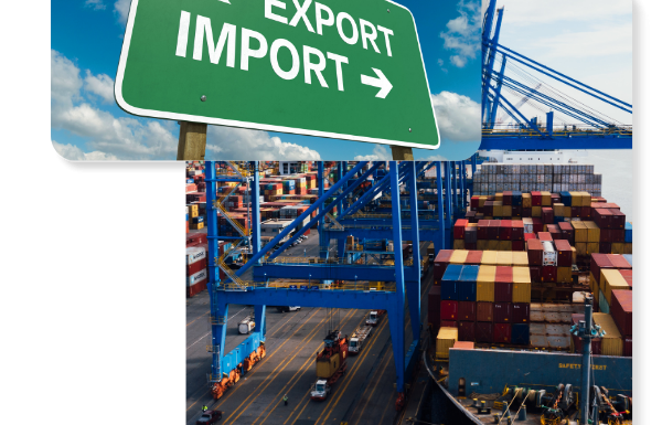 Control Over Import & Export Costs - business setup in Dubai