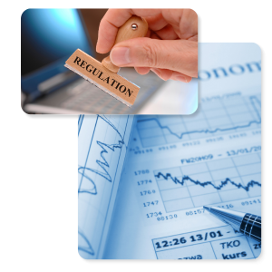 Economic Substance Regulations Filing Services