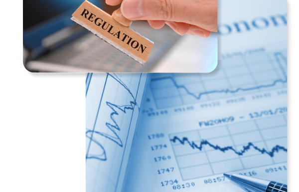 Economic Substance Regulations Filing Services