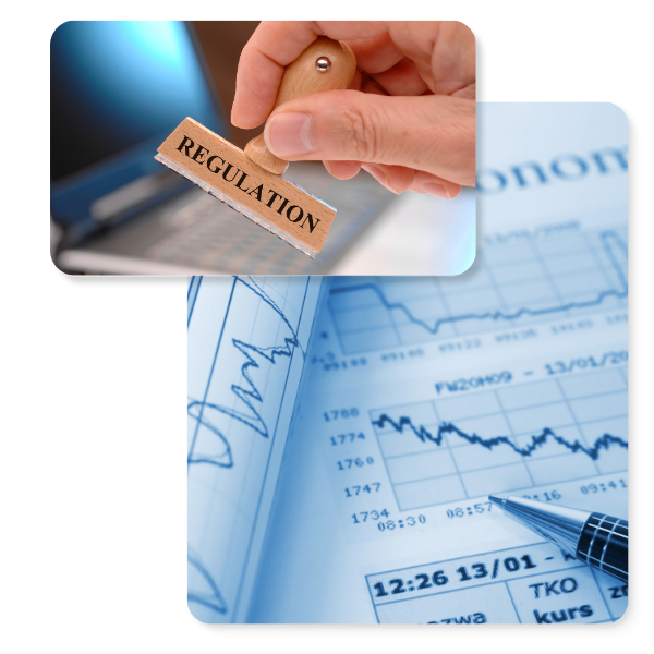 Economic Substance Regulations Filing Services