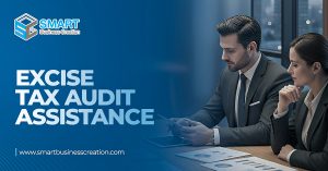 Excise Tax Audit Assistance Dubai, UAE