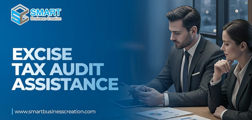 Excise Tax Audit Assistance Dubai, UAE