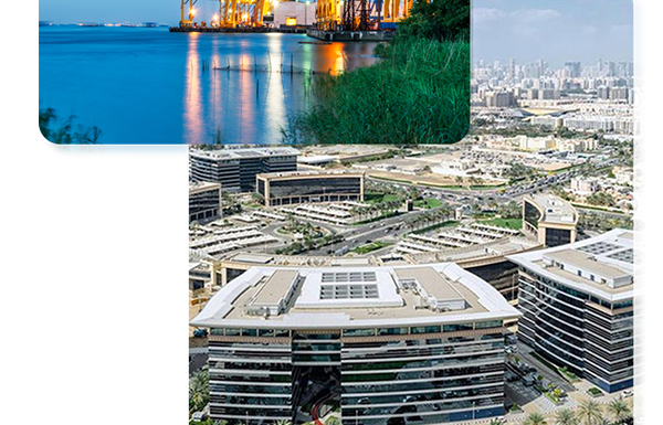 smart business creation jafza