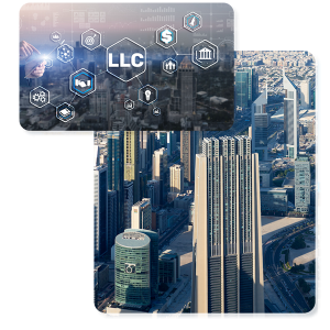 LLC smart business creation