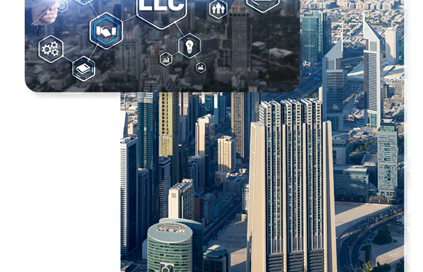 LLC smart business creation