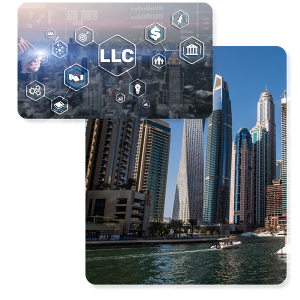 smart business creation LLC