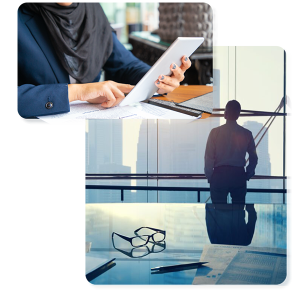 smart business creation professional license