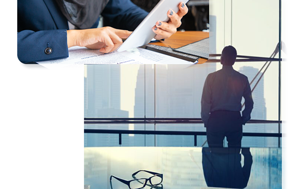 smart business creation professional license