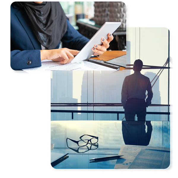 smart business creation professional license