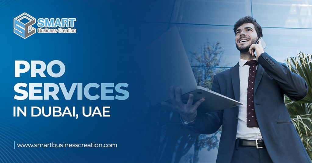 PRO Services in Dubai