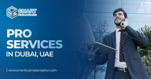 PRO Services in Dubai