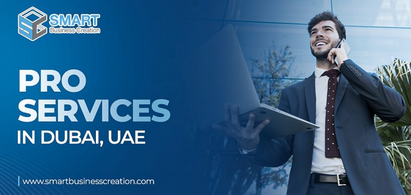 PRO Services in Dubai